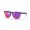 Oakley 2021 Tour De France Frogskins Lite Matte Poseidon Frame Prizm Road Lens Sunglasses