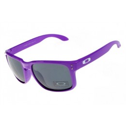 Oakley Holbrook Purple And Gray Iridium Sunglasses