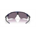 Oakley Radar Ev Path Shift Collection Shift Spin Frame Prizm Grey Lens Sunglasses