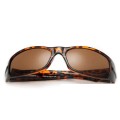 Ray Ban Rb2515 Active Tortoise And Gradient Brown Sunglasses