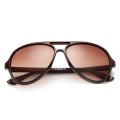 Ray Ban Rb4125 Cats 5000 Brown And Clear Brown Gradient Sunglasses