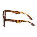 Ray Ban Rb7788 Wayfarer Tortoise And Light Brown Sunglasses