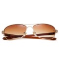 Ray Ban Rb8302 Tech Carbon Fibre Gold And Crystal Brown Sunglasses